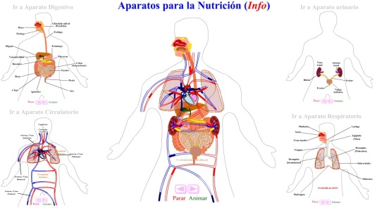 http://www.cienciasnaturales.es/APARATOS.swf